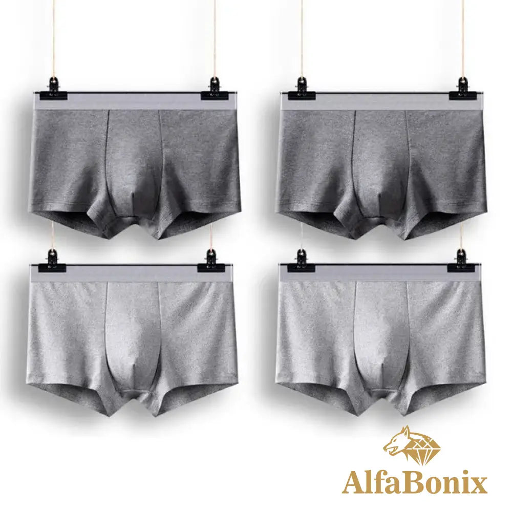 Cueca Alfa Basic - 4 Unidades