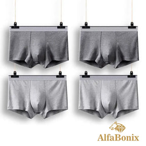 Cueca Alfa Basic - 4 Unidades