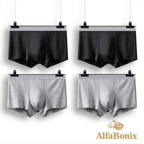 Cueca Alfa Basic - 4 Unidades