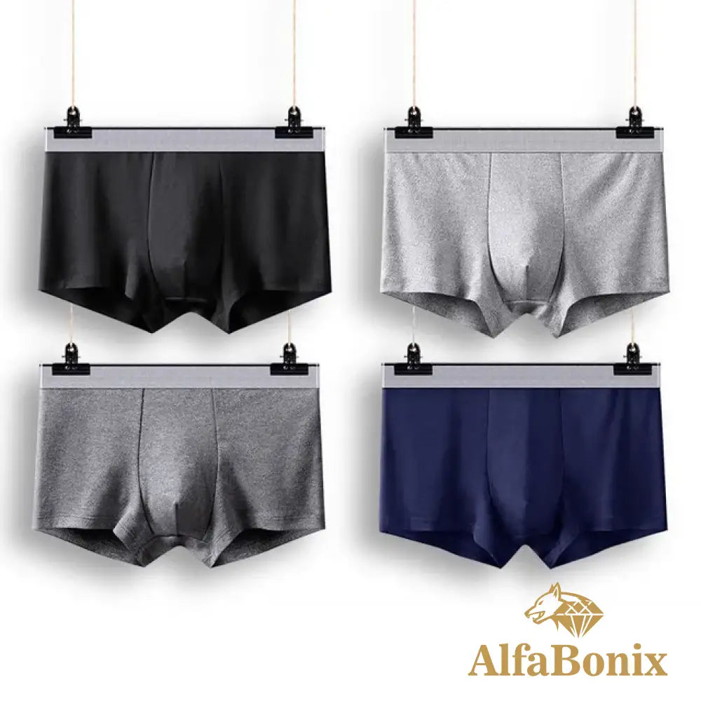 Cueca Alfa Basic - 4 Unidades