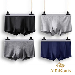 Cueca Alfa Basic - 4 Unidades