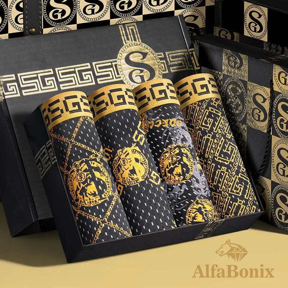 Cueca AlfaBonix Personality - Kit 4 Unidades